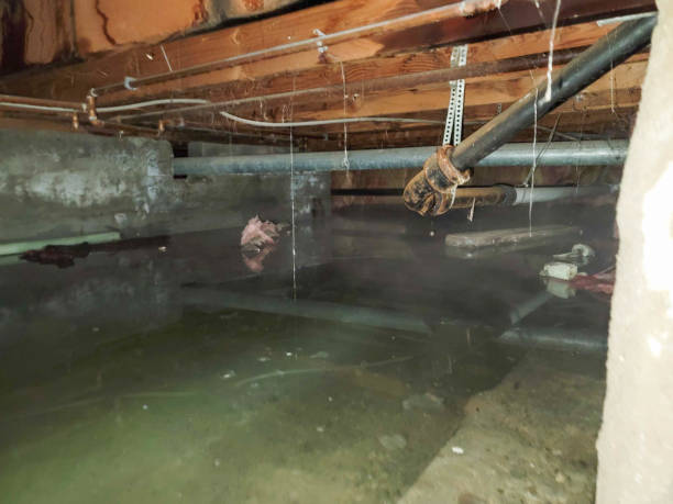 Best Ceiling water damage repair  in Franklin, LA