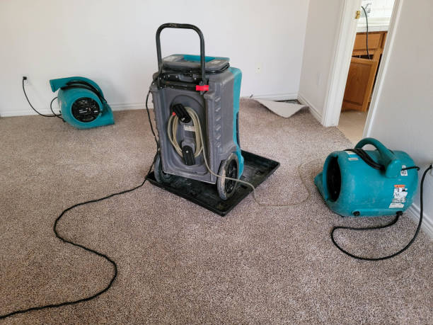 Best Commercial water damage restoration  in Franklin, LA