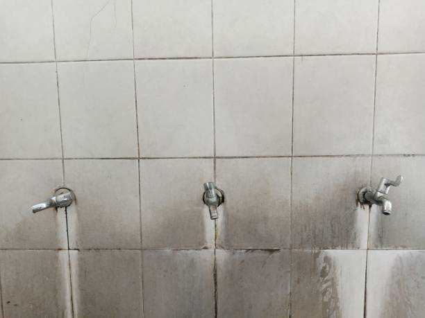 Best Fire Damage Restoration  in Franklin, LA